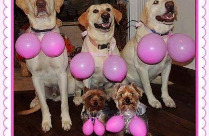 Breast Cancer Awareness Month Breast Cancer Awareness Month